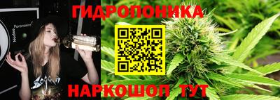 мдпв Краснознаменск