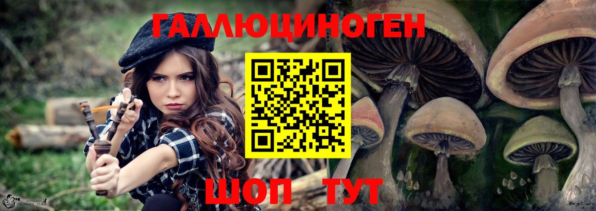 Чистополь  Псилоцибиновые грибы мухоморы  Вход с VPN  Галлюциногенные грибы Magic Shrooms 