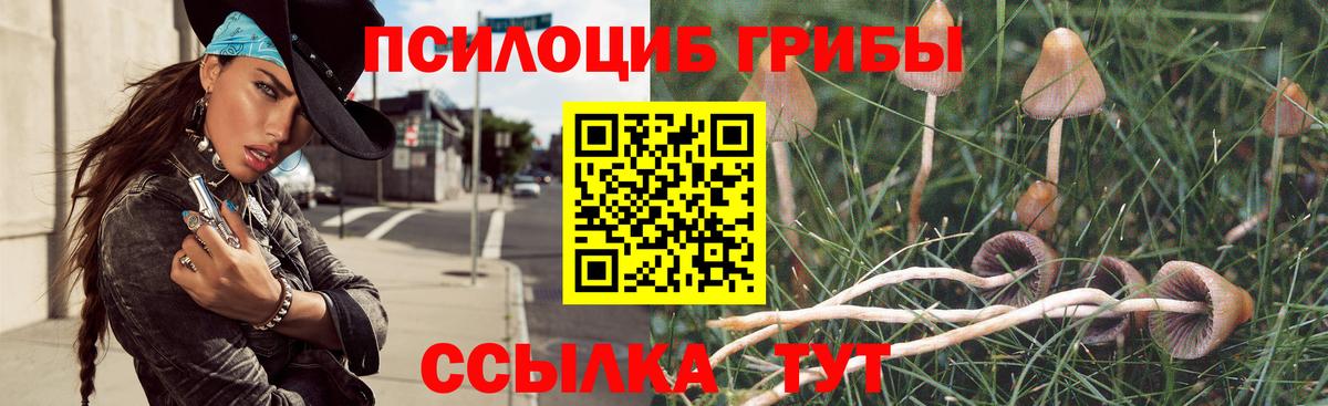 Галлюциногенные грибы GOLDEN TEACHER Чистополь